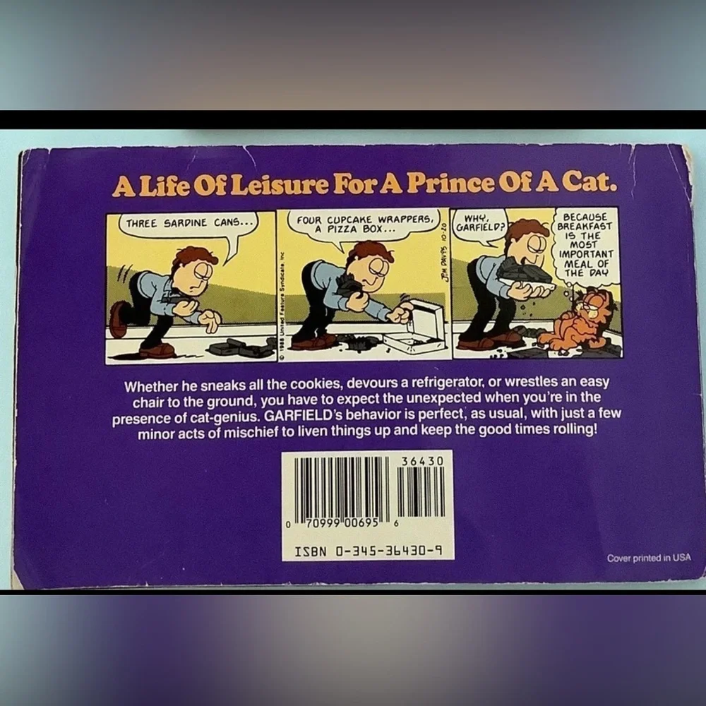 Garfield book - Picture 4 of 4